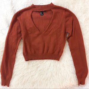 Burnt Orange Cropped Knit Sweater